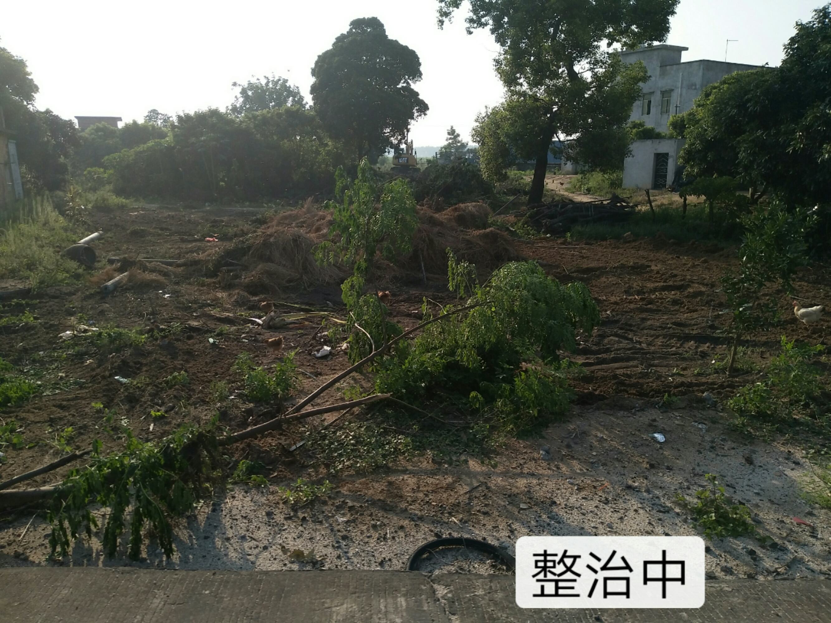 杨柑镇最新天气,杨柑镇最新天气，气象分析与生活指南