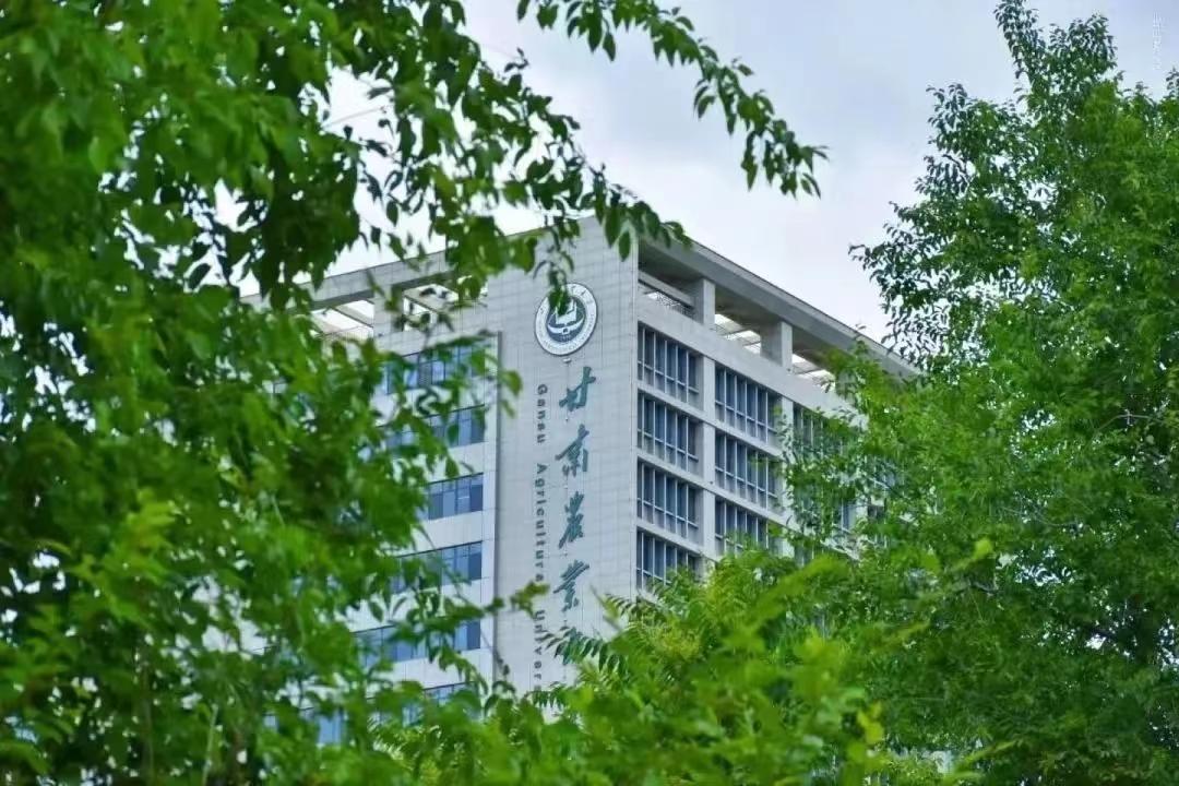 各类运输车辆 第488页