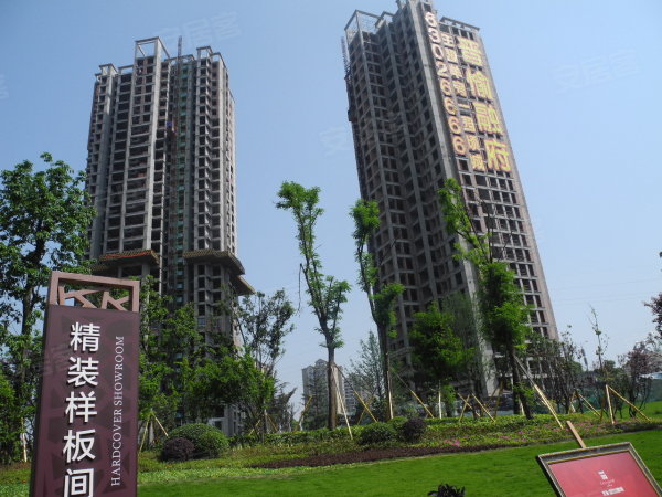 新乡大景城最新报价深度解读与探讨