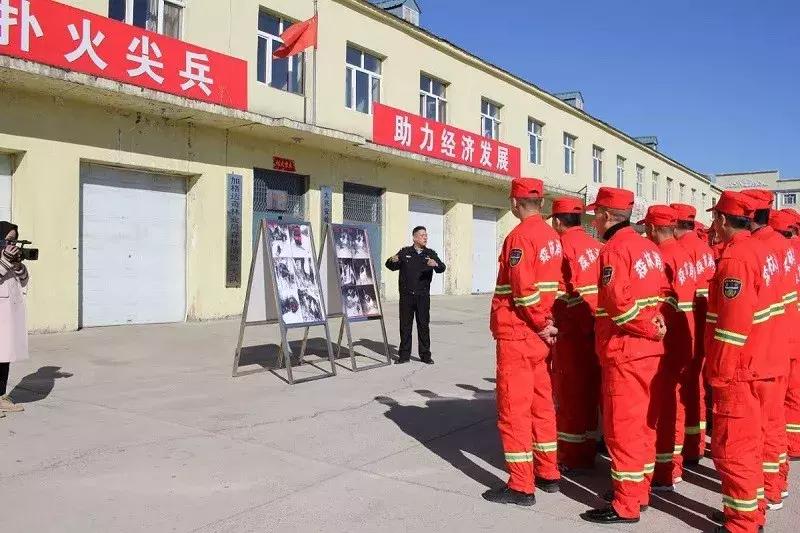 林业基础知识试题最新论述文解析