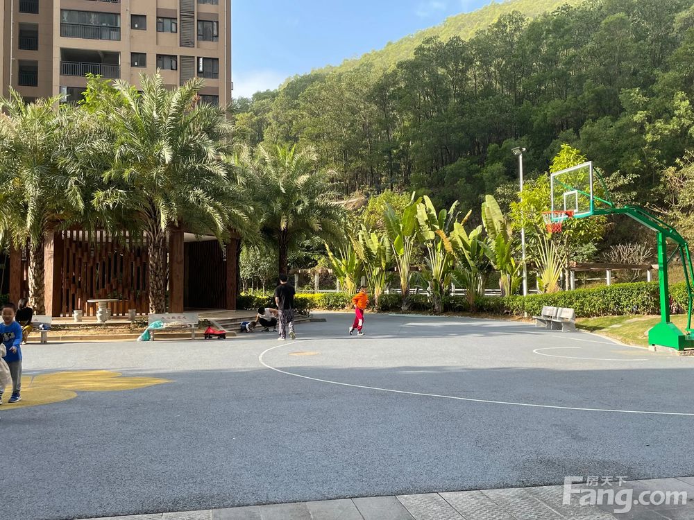 大亚湾缤粉TOWN最新均价揭秘，房价动态，一览无遗