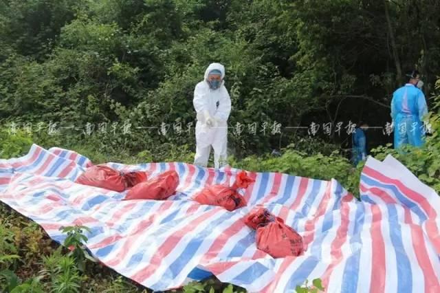 南通新闻最新杀人案，悲剧背后的深刻反思