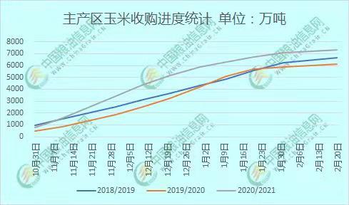 玉米最新价格行情预测,玉米最新价格行情预测，小巷中的秘密美食店探秘