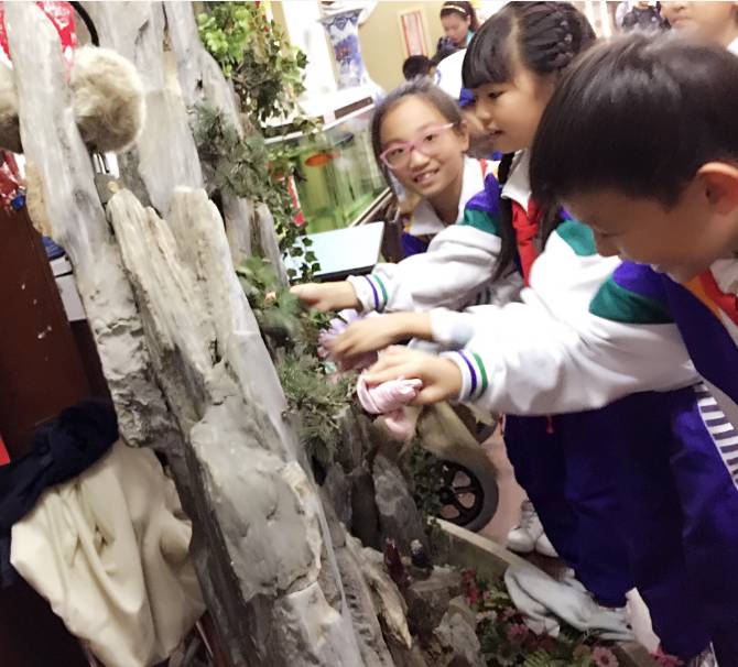 遂宁江湾国际最新动态,遂宁江湾国际最新动态，变化中的学习之旅，自信与成就感的源泉