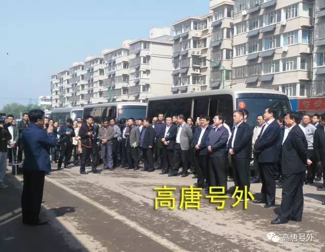 高唐违建最新动态，趣事连连，情感纽带牵动人心