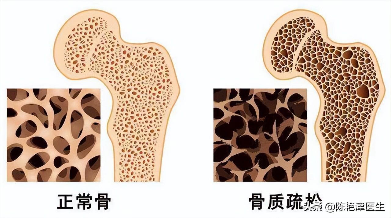 服务项目 第473页