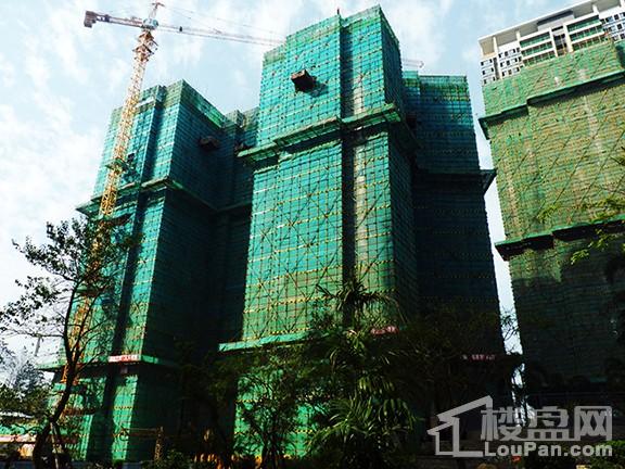 韶关沙湖绿洲最新动态，自然美景探索之旅，寻找内心的平和宁静之旅
