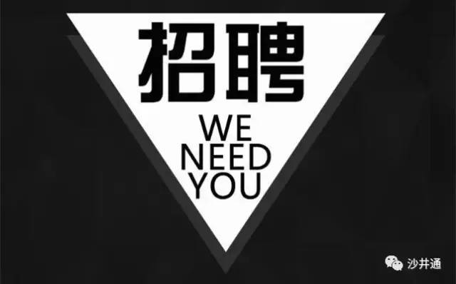 松下泰康最新招聘日常趣事概览