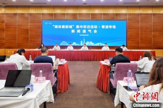 上海青浦最新动态，城市发展的前沿观点与深度解析