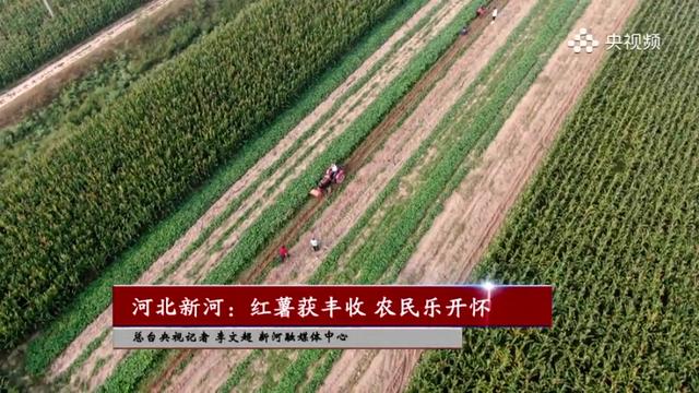 河北沃野自然美景探索之旅，追寻内心的平和与宁静的最新消息
