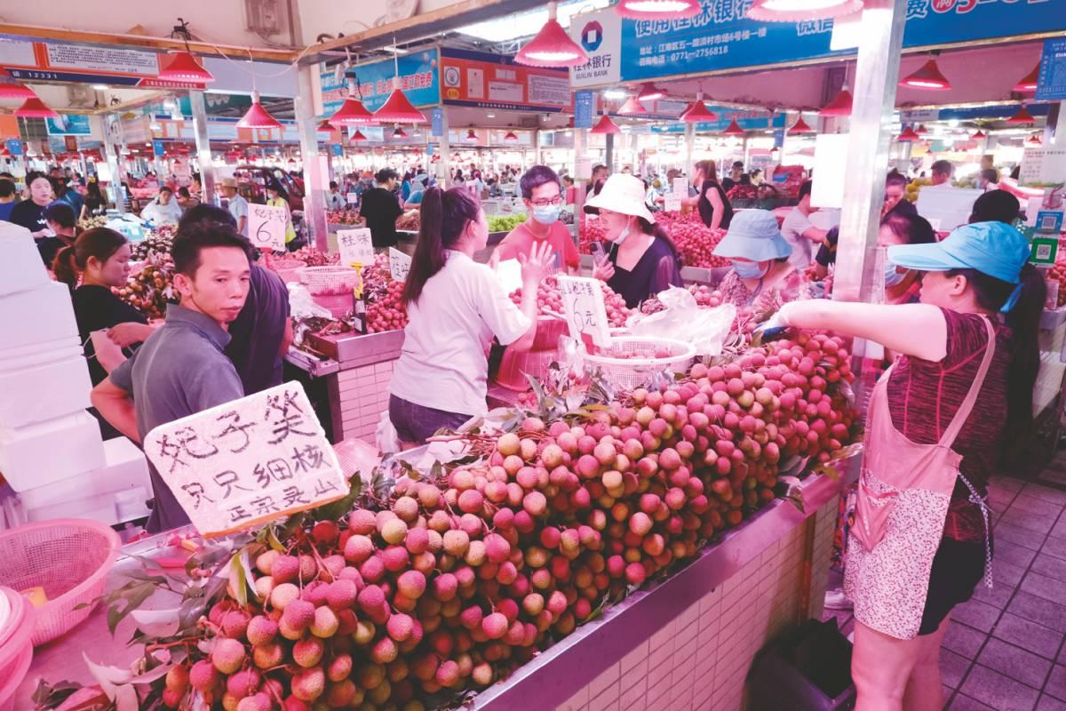 广西西瓜价格最新行情深度解析，回顾与洞察