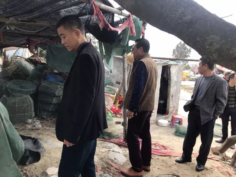 碣石旧服装最新动态与论述