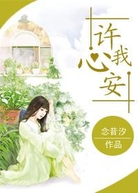 探索心安的力量与智慧，念在心安最新章节汇总