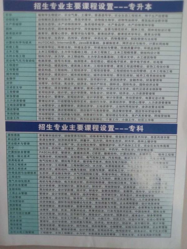 成都大邑最新招聘信息详解与观点论述