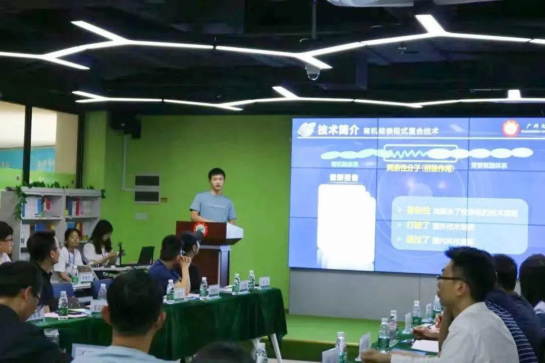 最新网络创业项目深度解析，某某观点的探讨与阐述