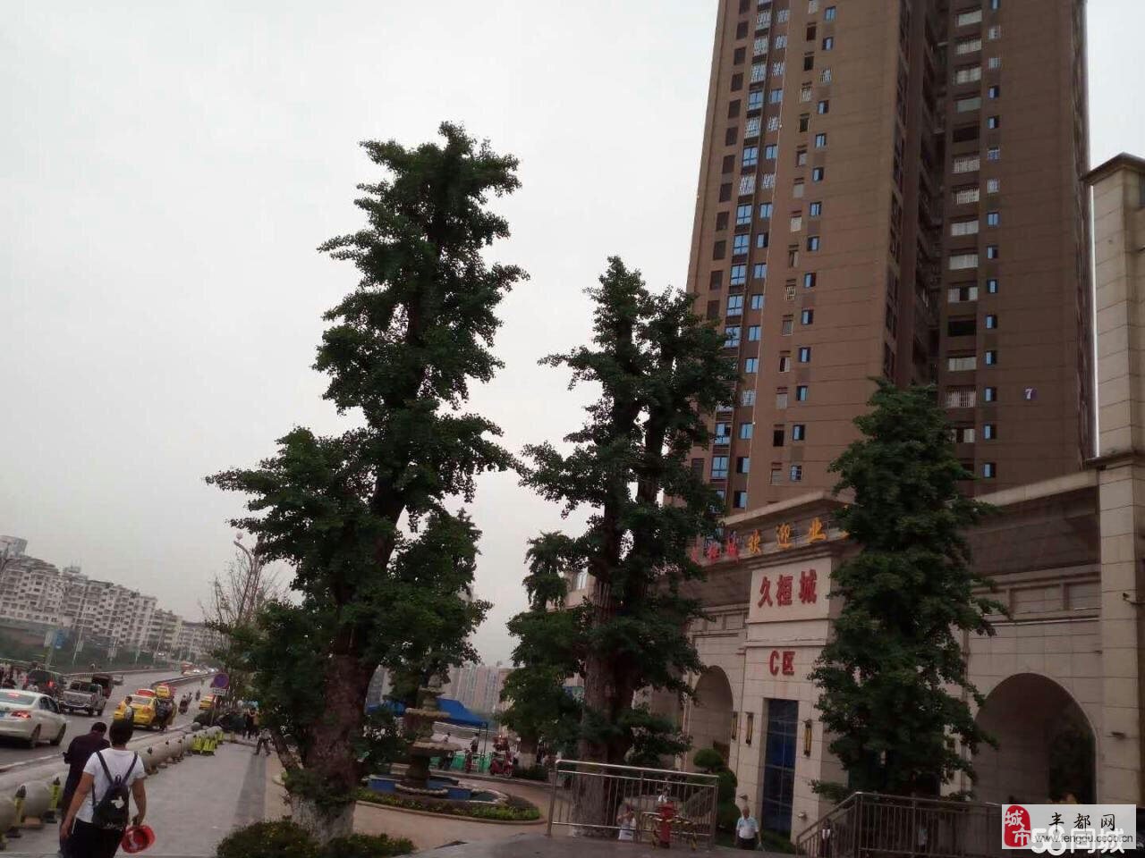 丰都久恒城最新动态揭秘，全面了解及参与步骤指南