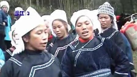 贵州榕江最新水歌，科技梦幻婚礼神器引领智能生活新纪元