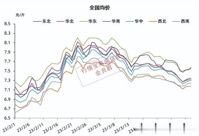 大猪价格最新行情动态及走势分析