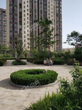 龙口观海绿岛最新价格揭秘，最新报价及详细信息🏢🌊