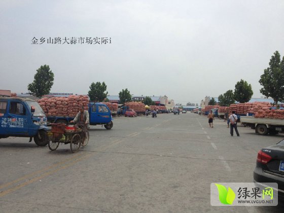 金乡山禄市场最新动态揭秘，最新消息一览无余