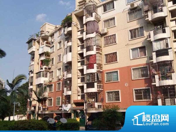 福州房屋出租最新信息及概览