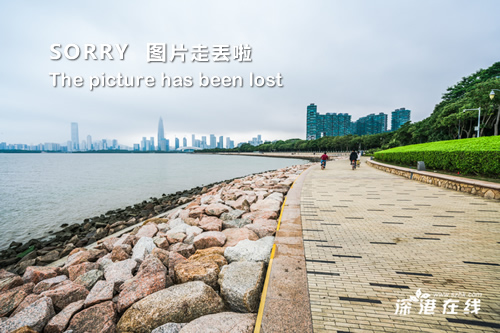 台风天鸽最新路径，逆风翱翔，掌握资讯成就自信与成就感