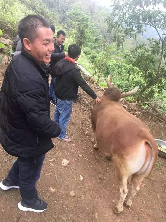 最新斗牛视界，邂逅自然美景，寻觅内心平和之地
