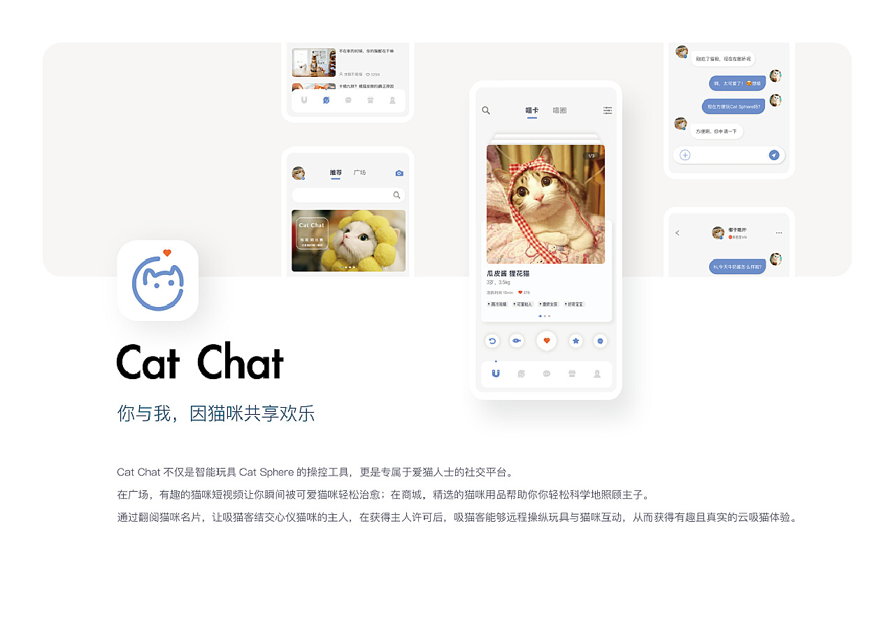 深度探讨最新猫咪软件的价值与影响