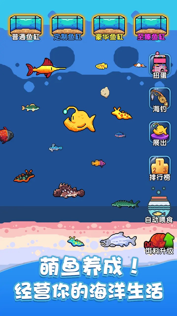 最新养鱼游戏,最新养鱼游戏，探索虚拟水族世界的乐趣