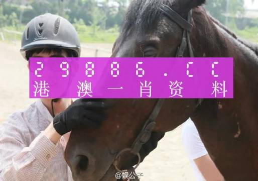 今晚澳门必中一肖一码适囗务目,最新数据挖解释明_RYK41.285紧凑版
