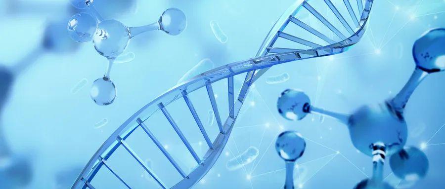 科技、社会与环境三大热点话题深度探讨，最新热点文章分析