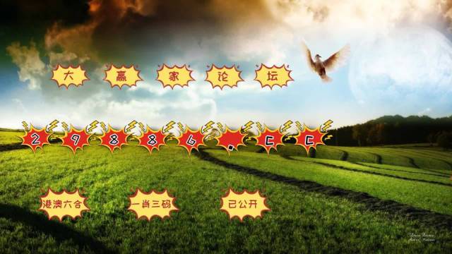 2024澳门六开彩查询记录次数,具象化表达解说_GNR93.629强劲版