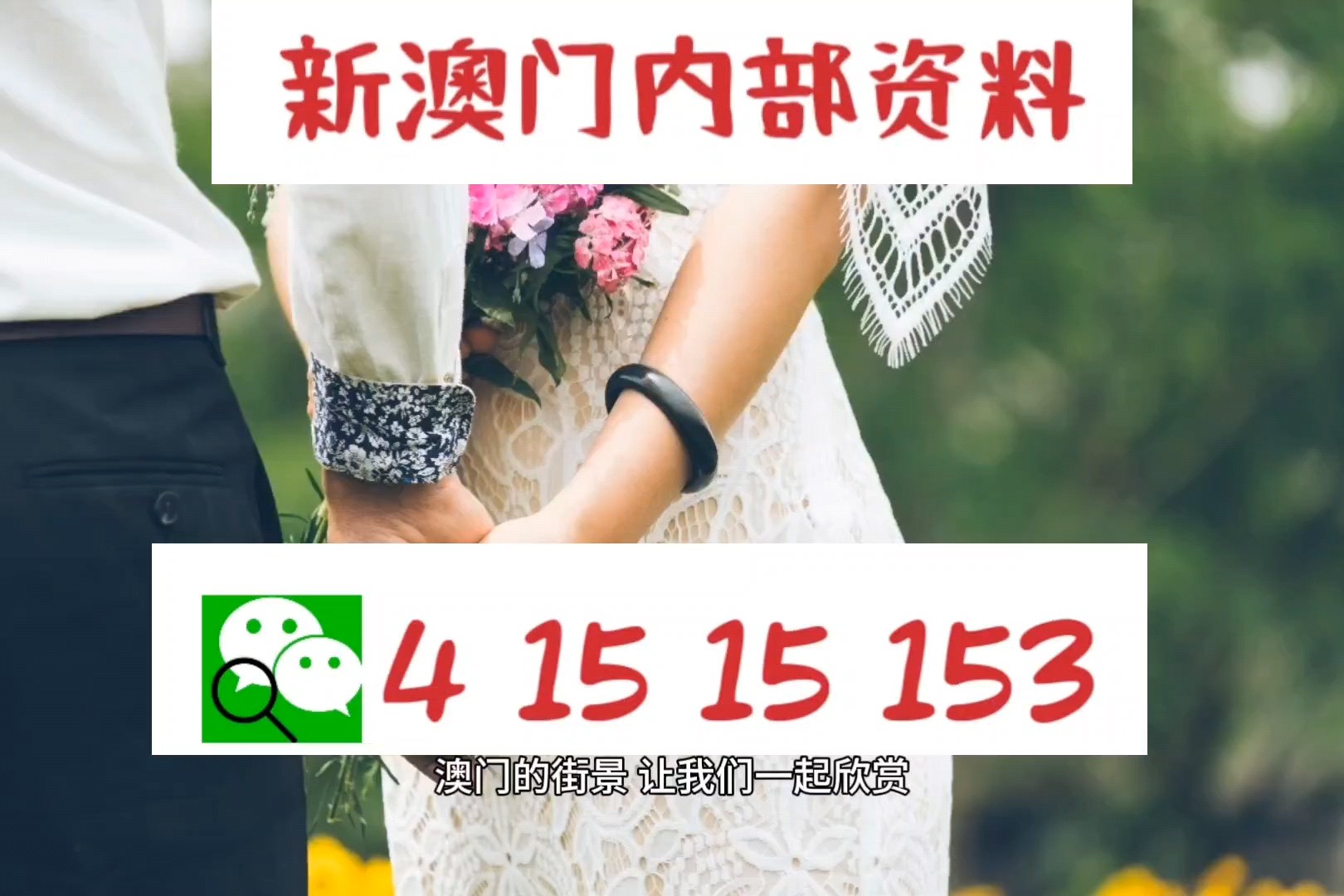 2024新澳门正版资料免费,最新研究解读_GFB93.863获取版