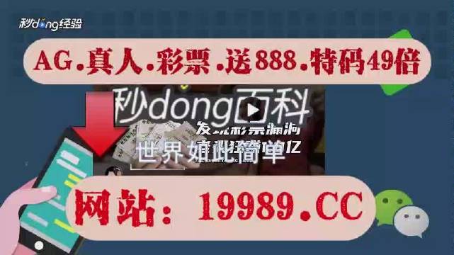 2024澳门六今晚历史开奖记录,专家权威解答_GLG23.892量身定制版