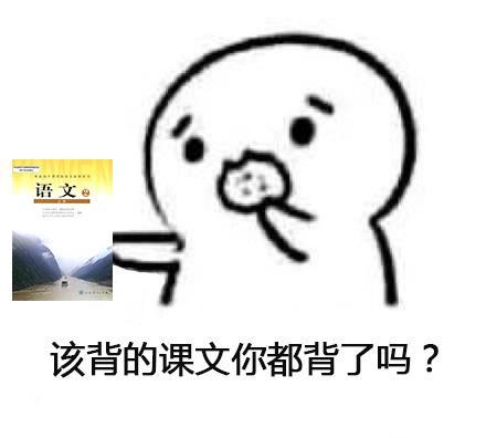 表情包最新制作指南，轻松完成表情包创作任务