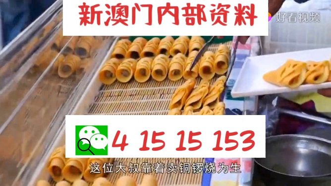 2024澳门天天开好彩大全体育,深入挖掘解释说明_VXA23.222高级版