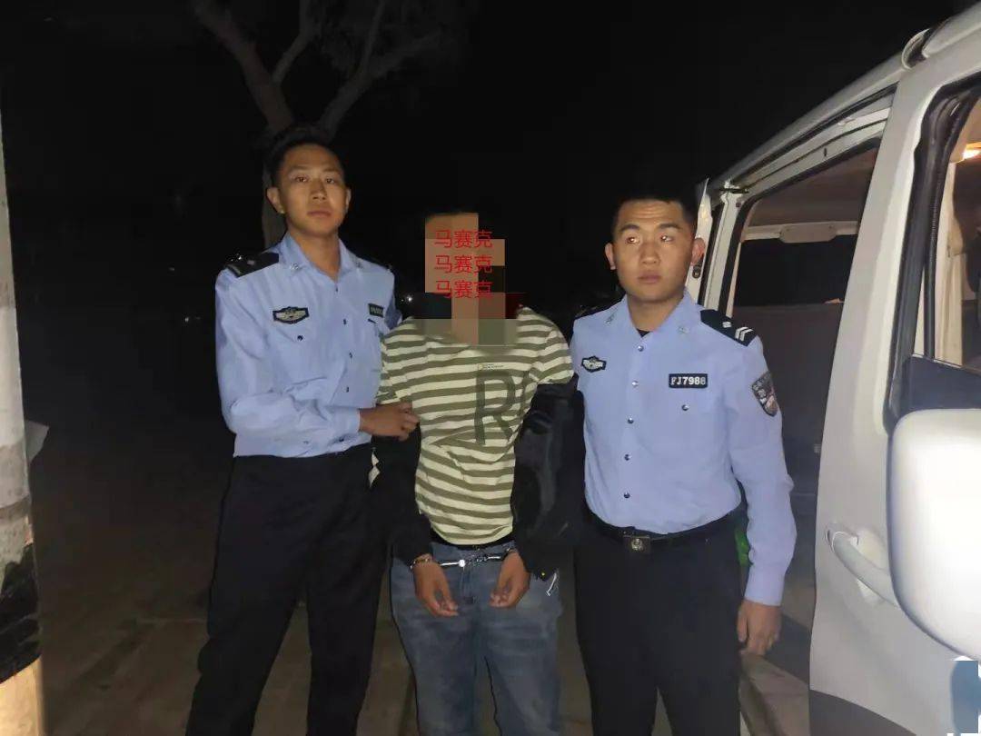 滨州最新抓捕行动，法治滨州建设取得重要进展的新篇章