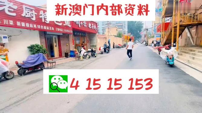 2024澳门天天开好彩大全凤凰天机,现代化解析定义_YIS41.356影像版