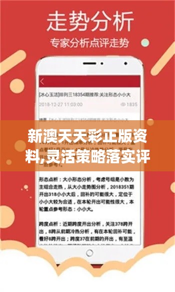 新澳天天免费资料单双大小,实地观察解释定义_AQO97.684进口版