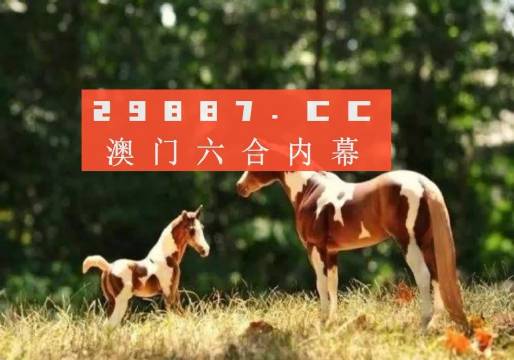 服务项目 第477页