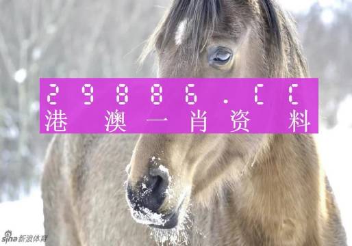 澳门一肖一码100,持续性实施方案_SPA23.954绝版