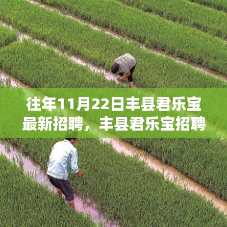 丰县君乐宝最新招聘，求职步骤指南与招聘资讯速递
