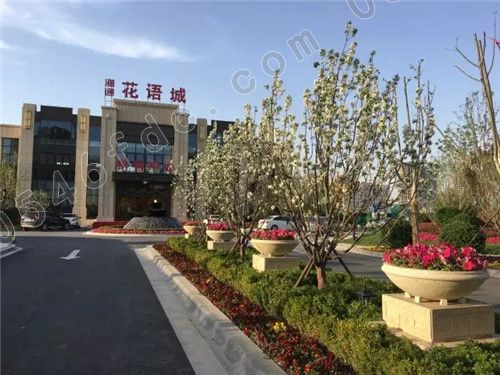 德州花漫香都最新动态揭秘，最新进展与资讯速递