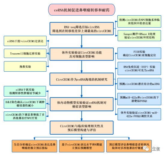 澳门最准资料大全免费,机制评估方案_创造力版49.869