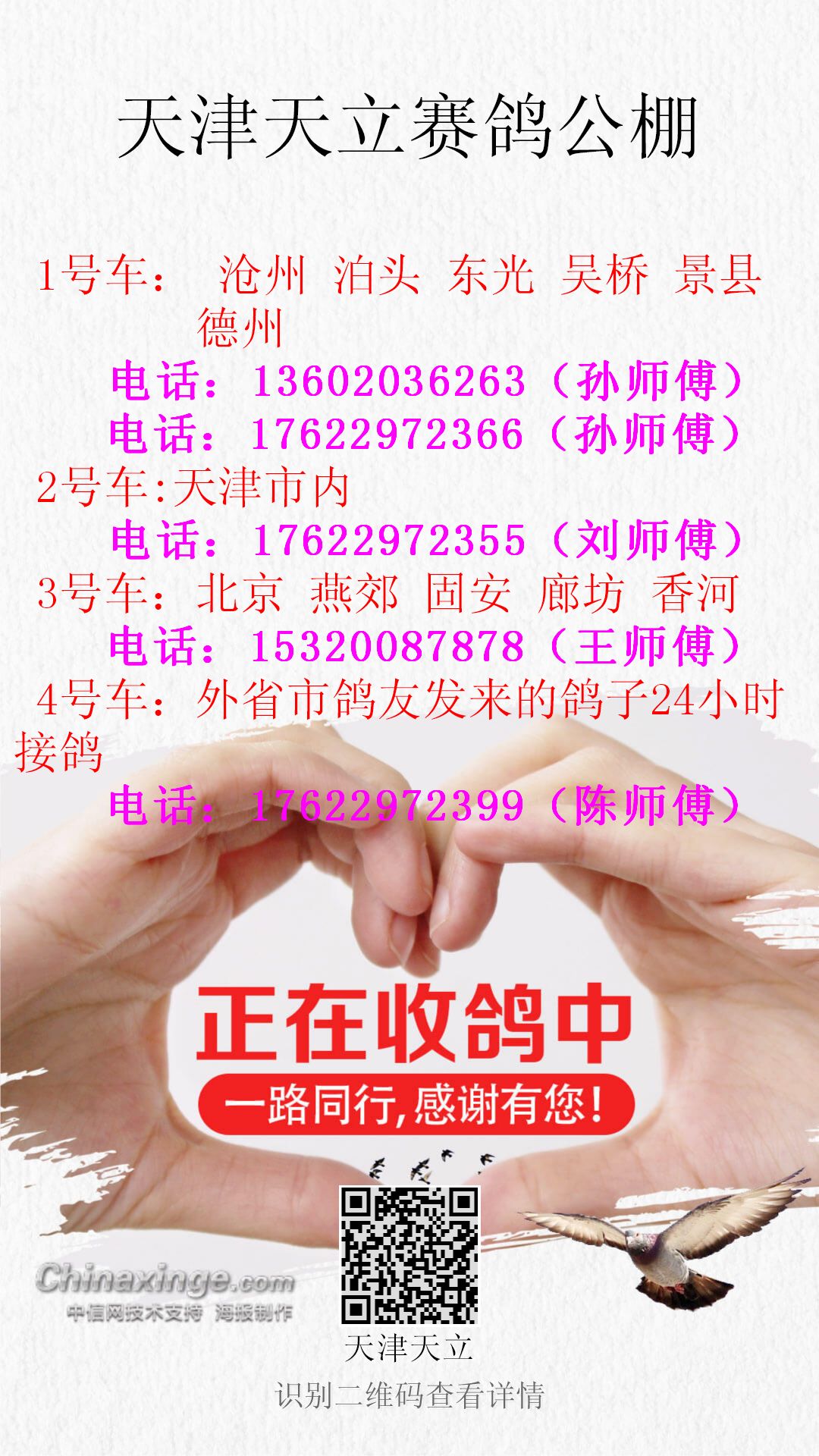 天立公棚最新公告2024,天立公棚最新公告2024，未来规划与展望
