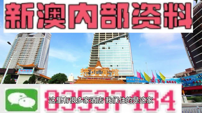 新澳内部高级资料,理论考证解析_计算机版26.953