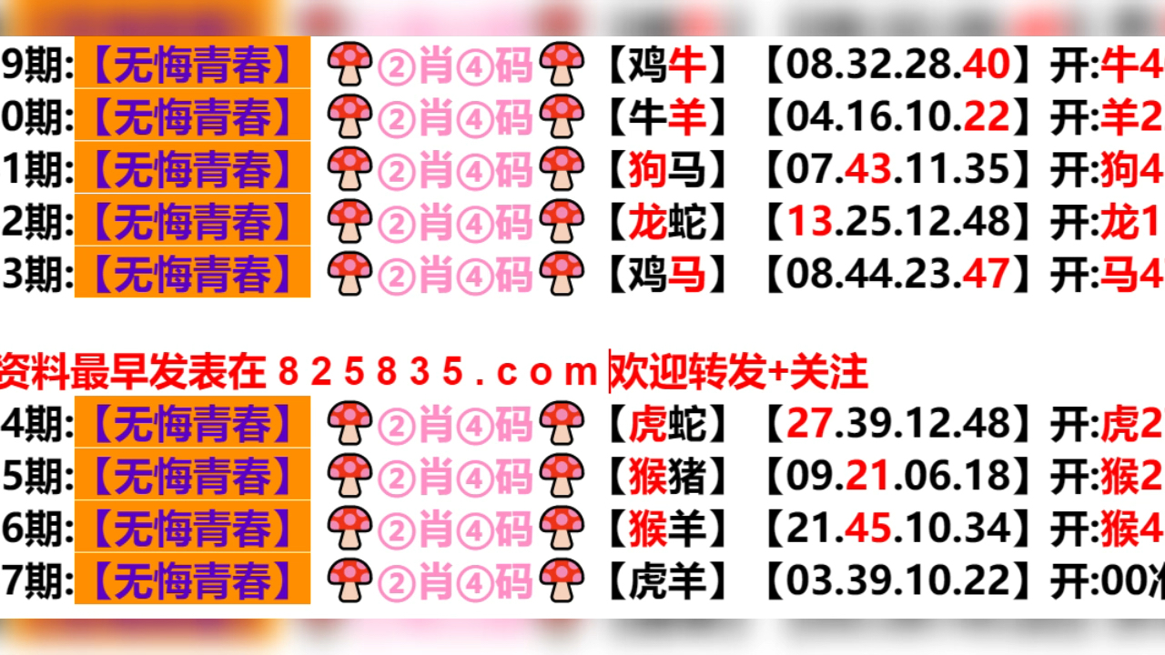 2024年新奥门天天开彩,案例实证分析_智慧共享版49.719