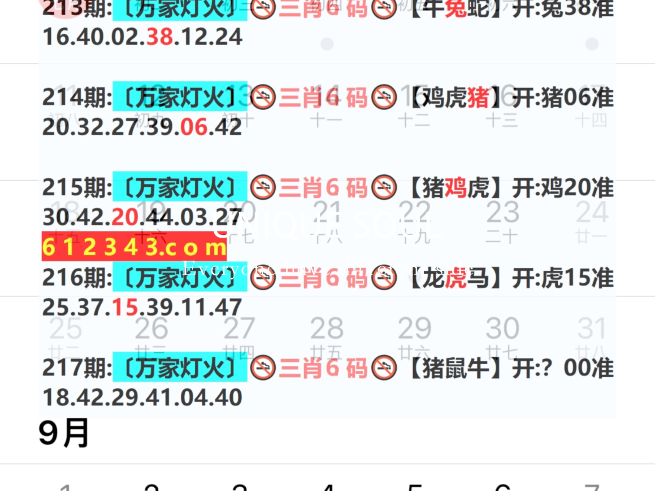 新奥2024一肖一码,信息明晰解析导向_体验式版本75.736