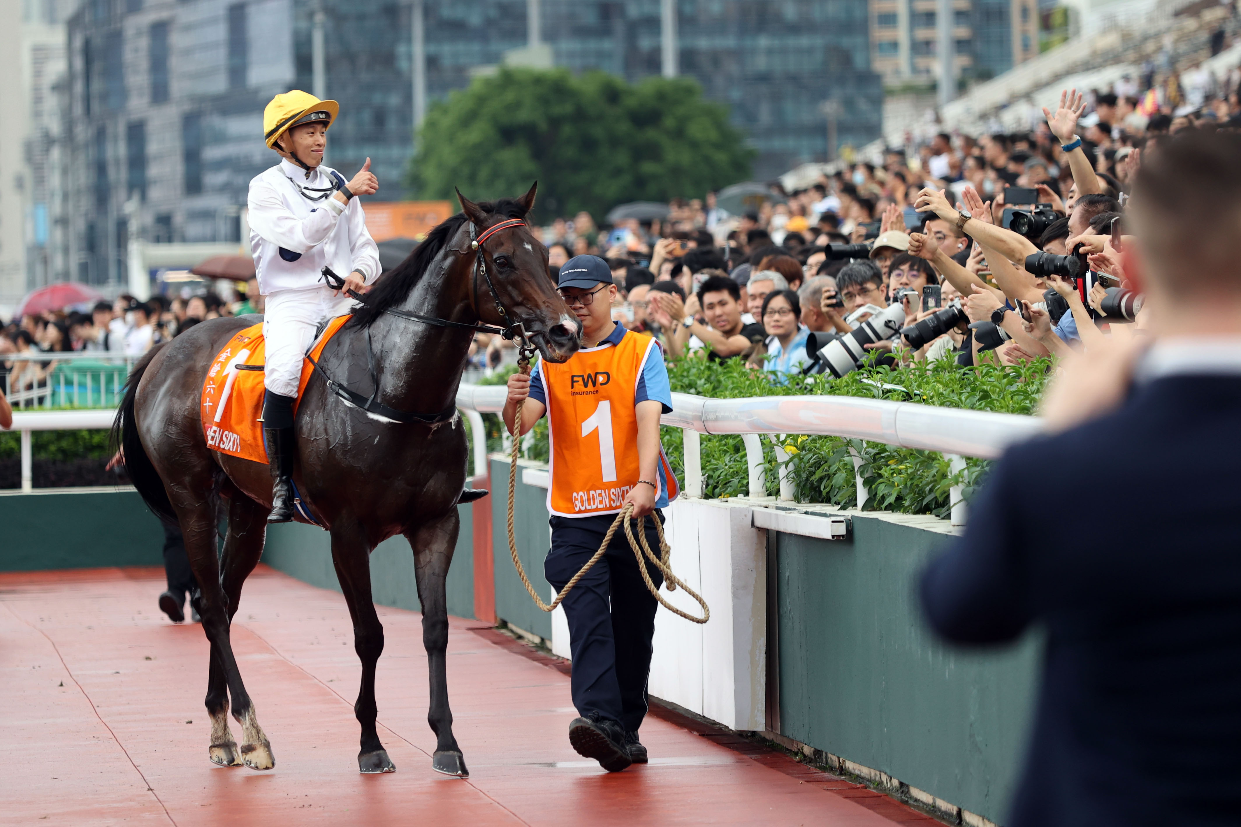 2024香港赛马全年免费资料,快速解答方案实践_赛博版11.141