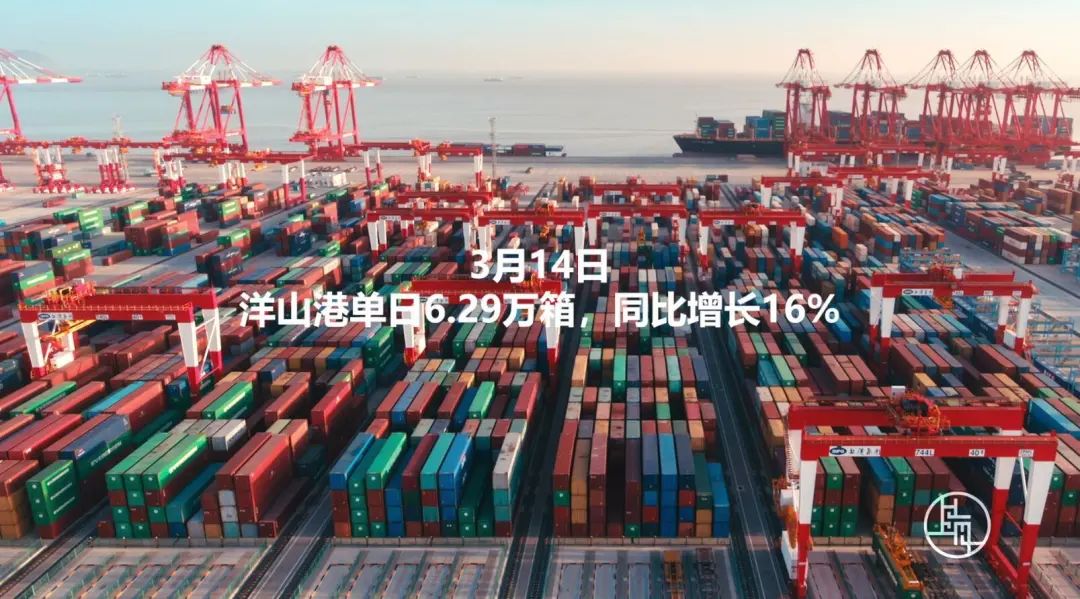 申城最新赌场,申城最新赌场，一个关于犯罪与法律立场的探讨